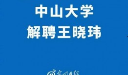 中山王晓玮爆料新闻,揭秘新闻背后真相