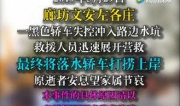 文安网友爆料事件真相视频,视频还原惊人内幕