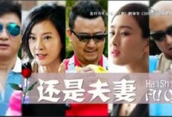 还是夫妻电视剧全集在线观看,情感纠葛，婚姻抉择，揭秘现代婚姻真相