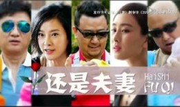 还是夫妻电视剧全集在线观看,情感纠葛，婚姻抉择，揭秘现代婚姻真相