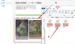 吃瓜娱乐素材视频无水印,无水印素材背后的娱乐真相
