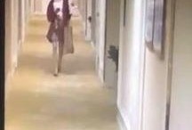 最新酒店花絮爆料视频,最新花絮视频曝光惊人细节