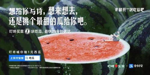 好看的娱乐圈吃瓜文案